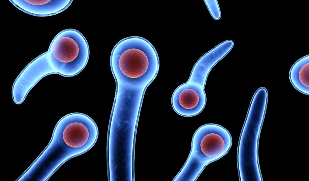 Ako sa zneužíva a manipuluje s prípadom tetanu u 3. r&nbsp;chlapca